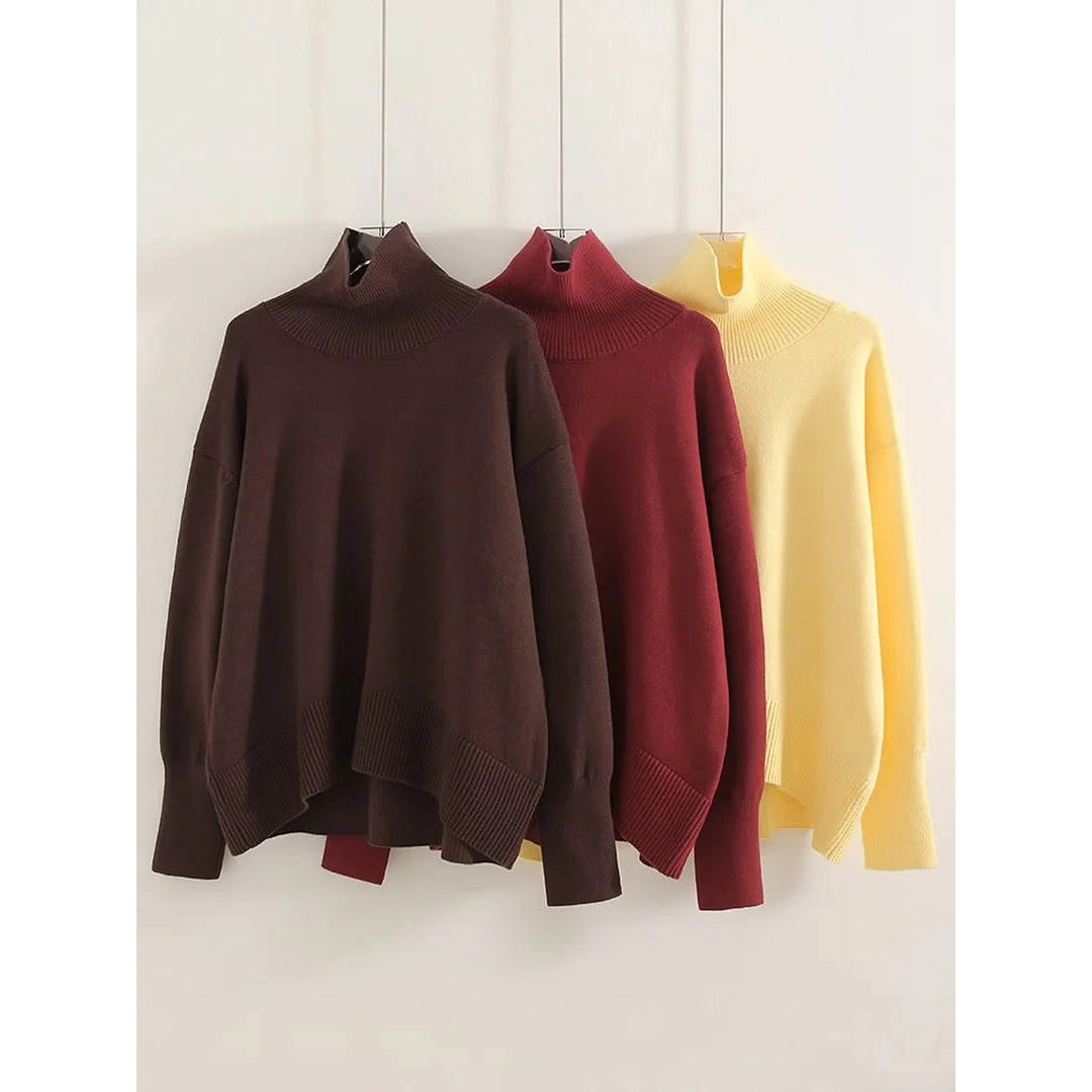 Women's Chunky Turtleneck Sweater, front view 3