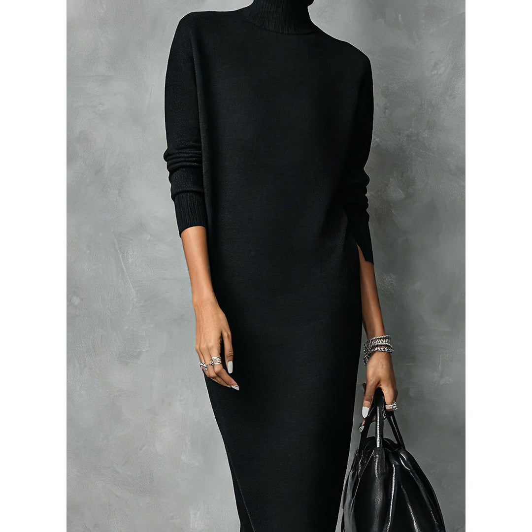 Women's Turtleneck Dress, detail view