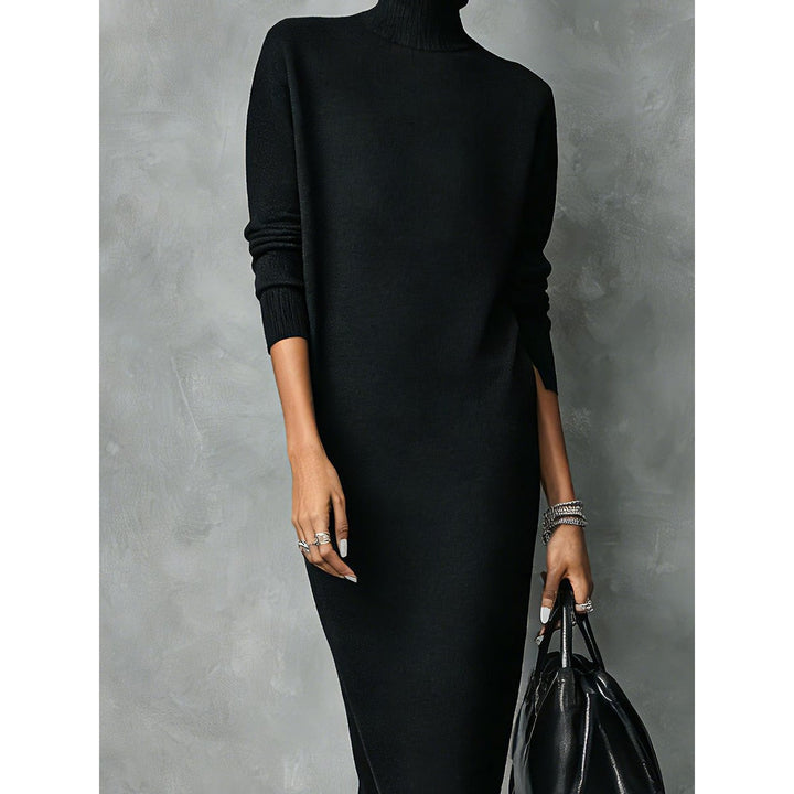Women's Turtleneck Dress, detail view